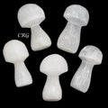 Selenite Mushroom 2 to 3 Inches (1 Piece)