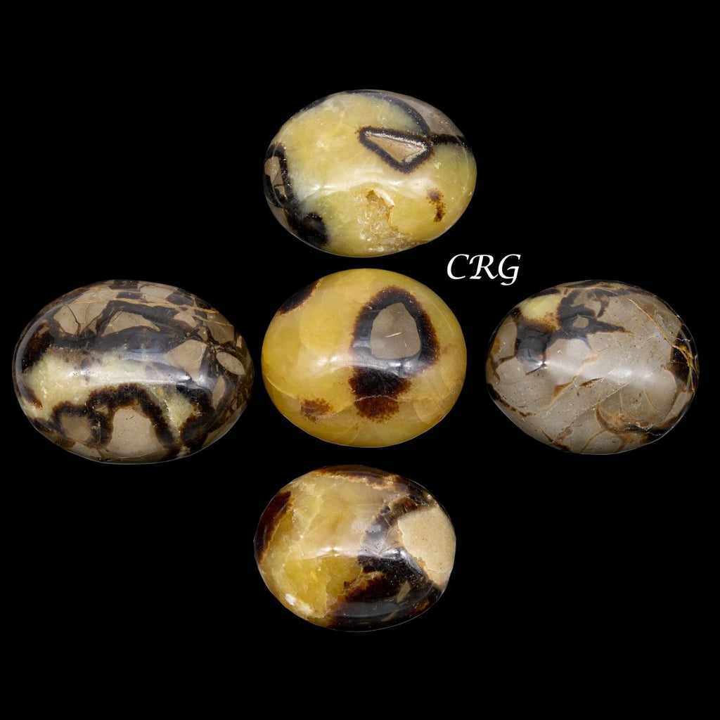 Septarian Calcite Palm Stones (1 Pound) Size 1.5 to 2.5 Inches