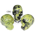 Serpentine Skull (1 Piece) Size 45 to 55 mm Crystal Gemstone Head Carving