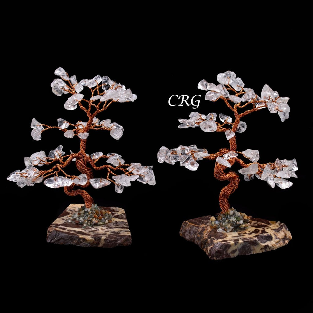 SET OF 2 - Clear Quartz Gemstone Tree w/ Petrified wood base