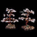SET OF 2 - Clear Quartz Gemstone Tree w/ Petrified wood base
