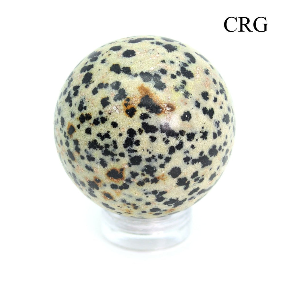 SET OF 2 - Dalmatian Jasper Spheres / 25-40mm AVG