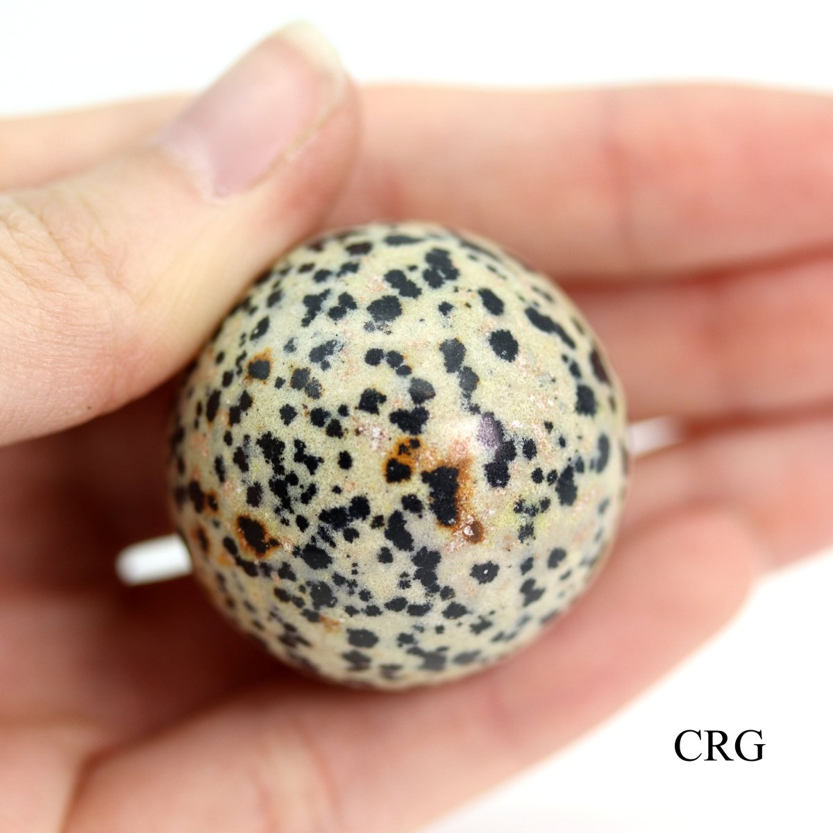 SET OF 2 - Dalmatian Jasper Spheres / 25-40mm AVG