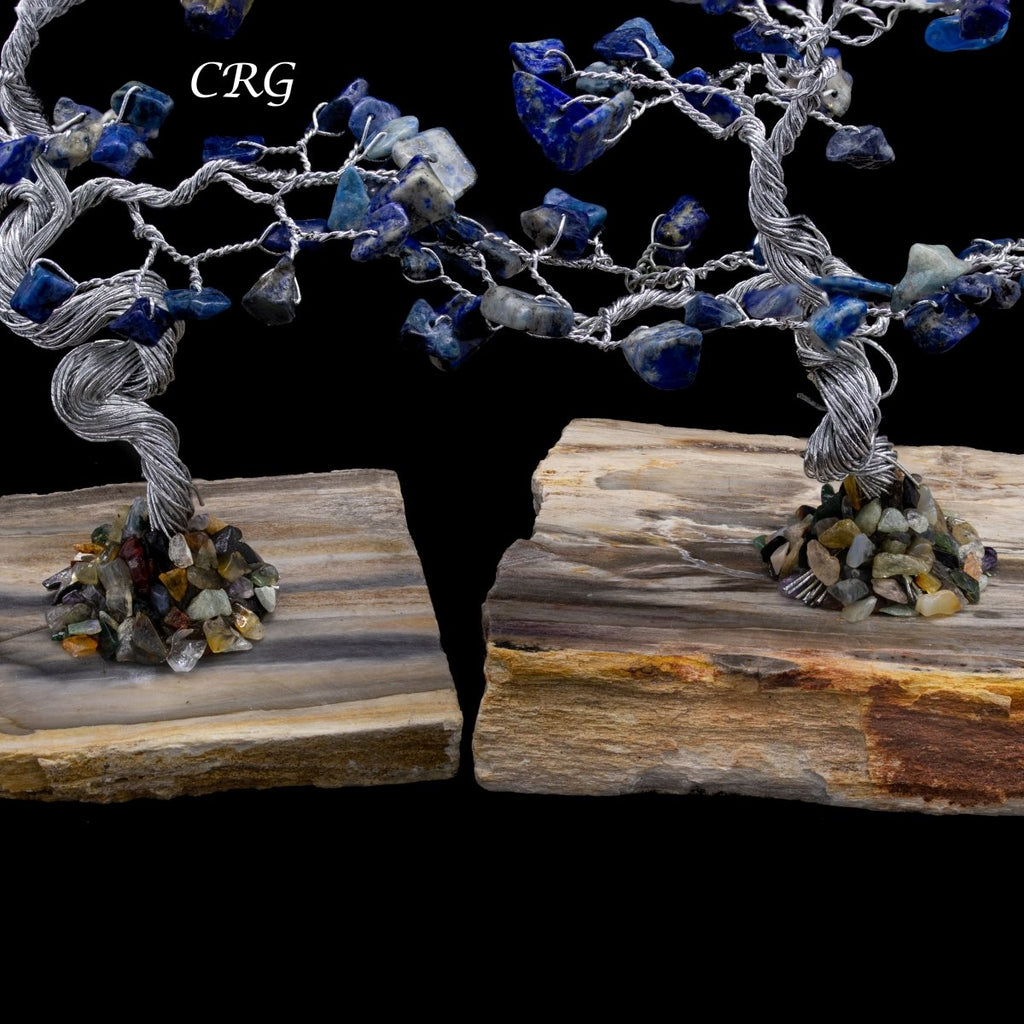 SET OF 2 - Lapis Lazuli Gemstone Tree w/ Petrified wood base