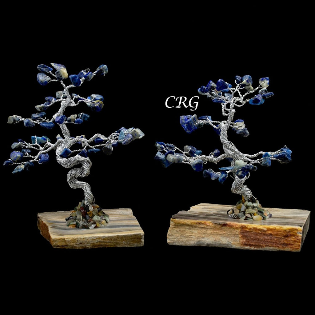 SET OF 2 - Lapis Lazuli Gemstone Tree w/ Petrified wood base