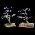 SET OF 2 - Lapis Lazuli Gemstone Tree w/ Petrified wood base