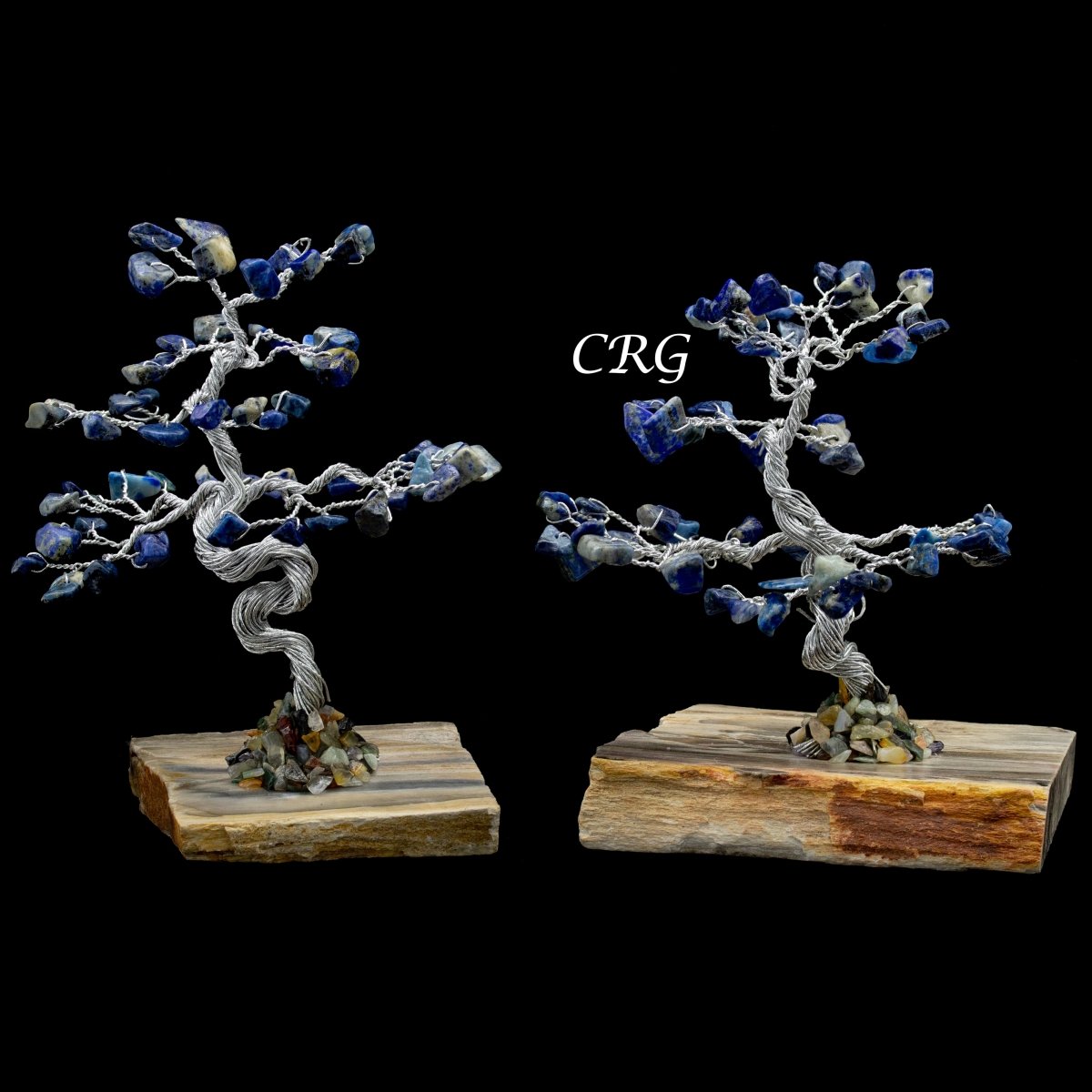 SET OF 2 - Lapis Lazuli Gemstone Tree w/ Petrified wood base