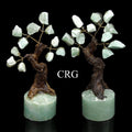 SET OF 2 - Rough Green Aventurine Tree with Round Polished Base / 3.5-4" AVG