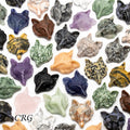 SET OF 4 - Assorted Gemstone Wolves / 1.5" Avg