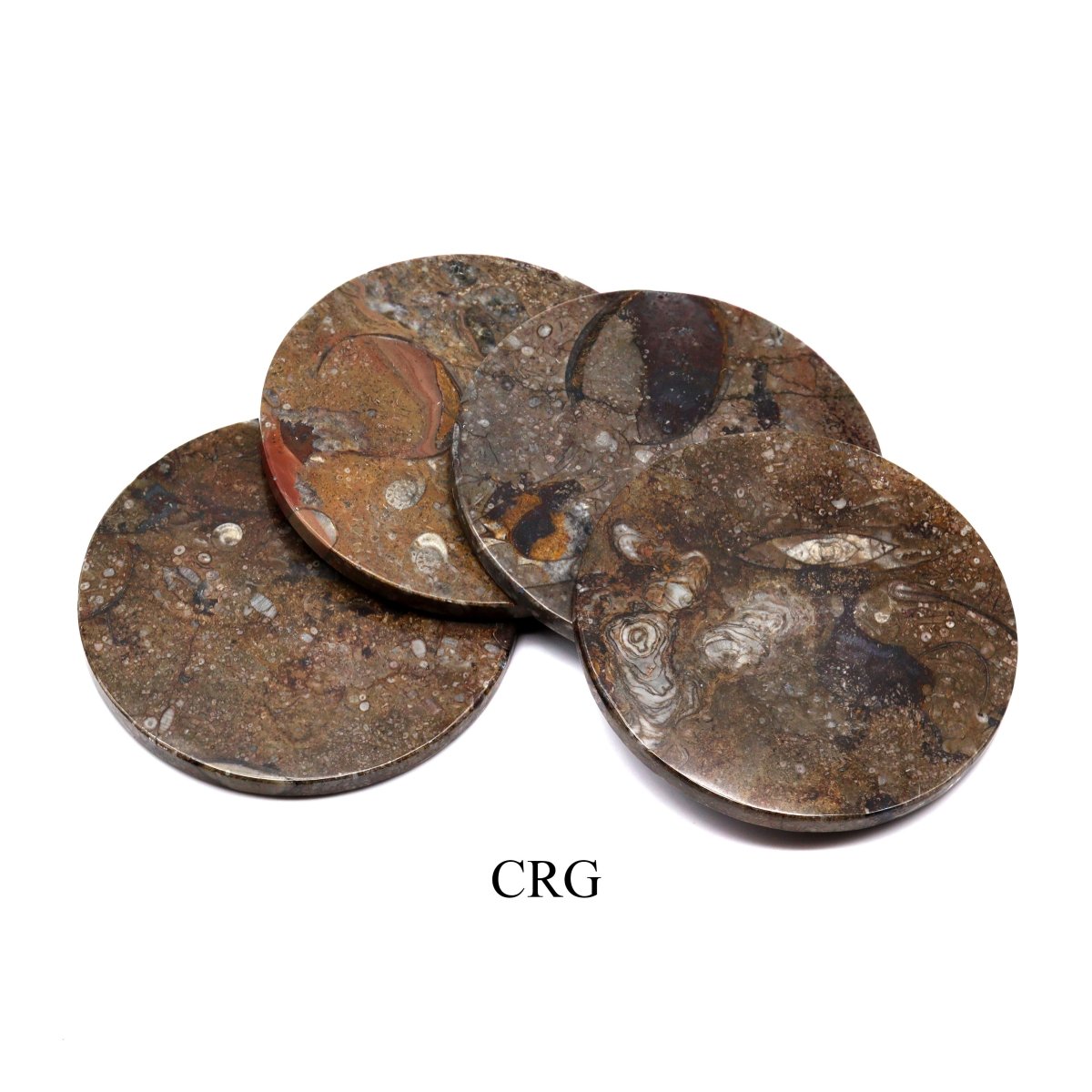 Brown Orthoceras and Ammonite Fossil Stone Coasters (4 Pieces)