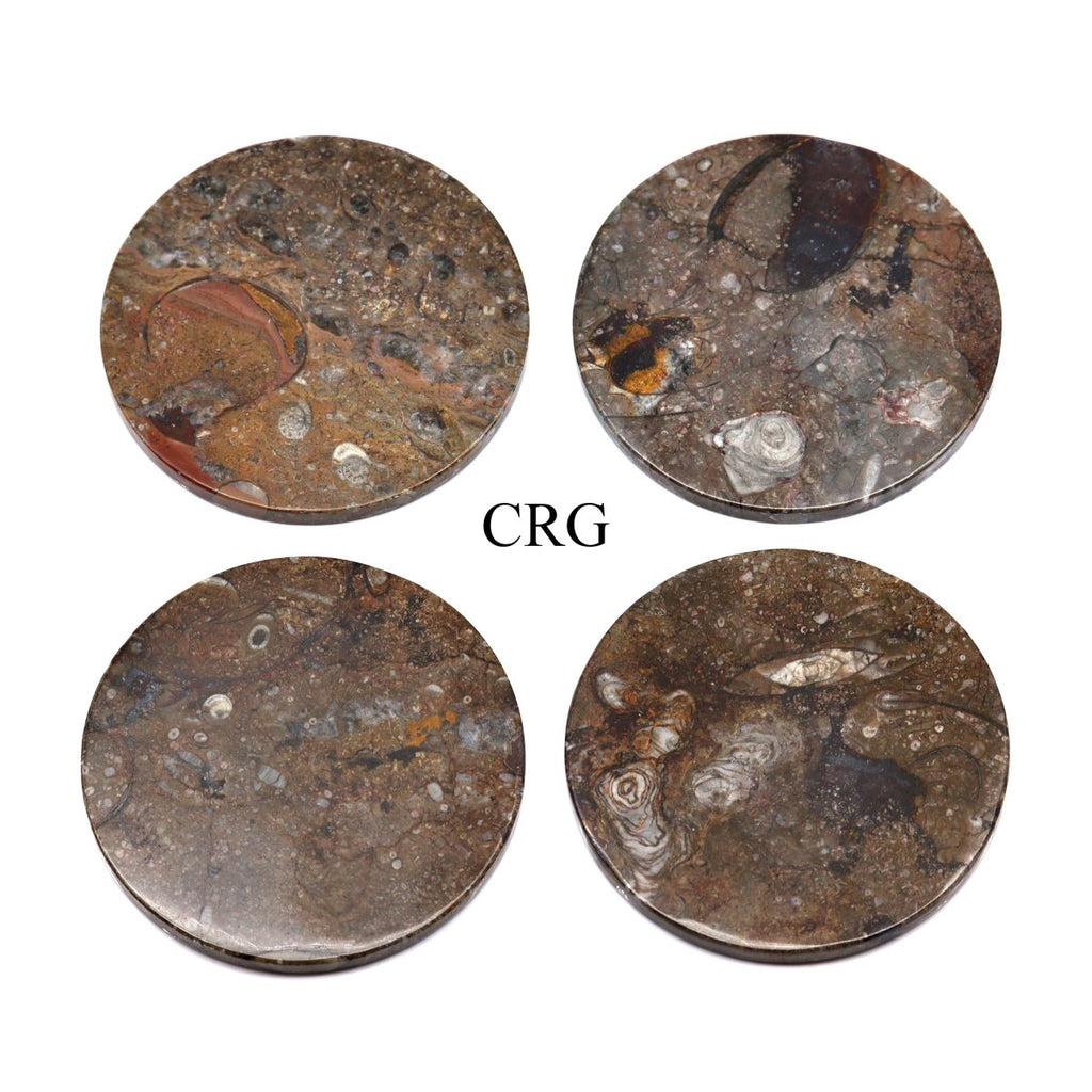 Brown Orthoceras and Ammonite Fossil Stone Coasters (4 Pieces)