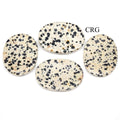 SET OF 4 - Dalmatian Jasper Worry Stone with Thumb Indent / 1" AVG