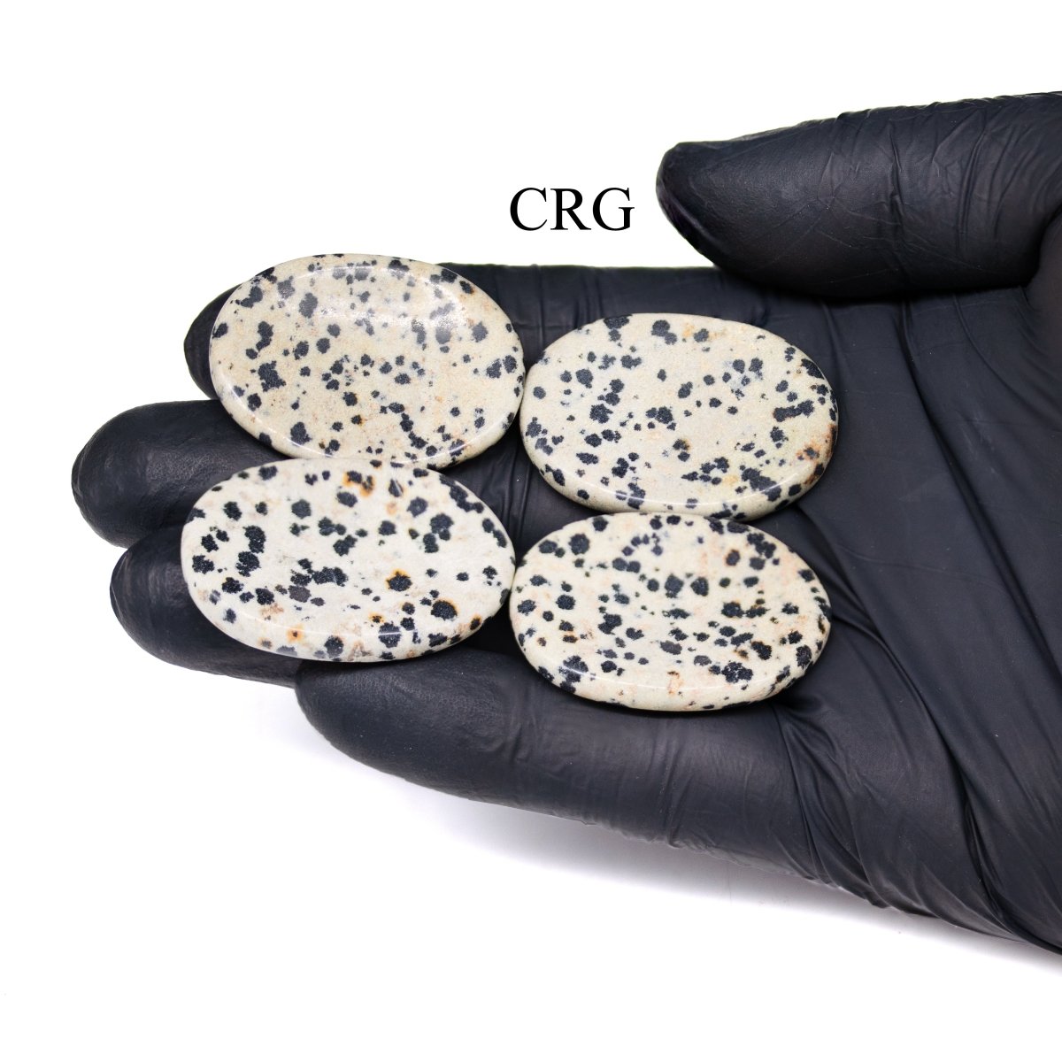 SET OF 4 - Dalmatian Jasper Worry Stone with Thumb Indent / 1" AVG