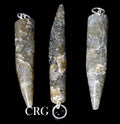 Labradorite Horn Pendant with Silver Plated Bail (2 Inches) (4 Pieces) (INJD)