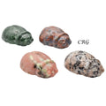 SET OF 4 - Mixed Gemstone Ladybugs / 2" Avg