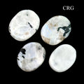 SET OF 4 - Rainbow Moonstone Worry Stones with Thumb Indent / 1" AVG