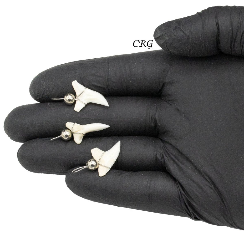 Shark Tooth Pendant with Silver Bead and Silver Wiring (4 Pieces) Size 15mm