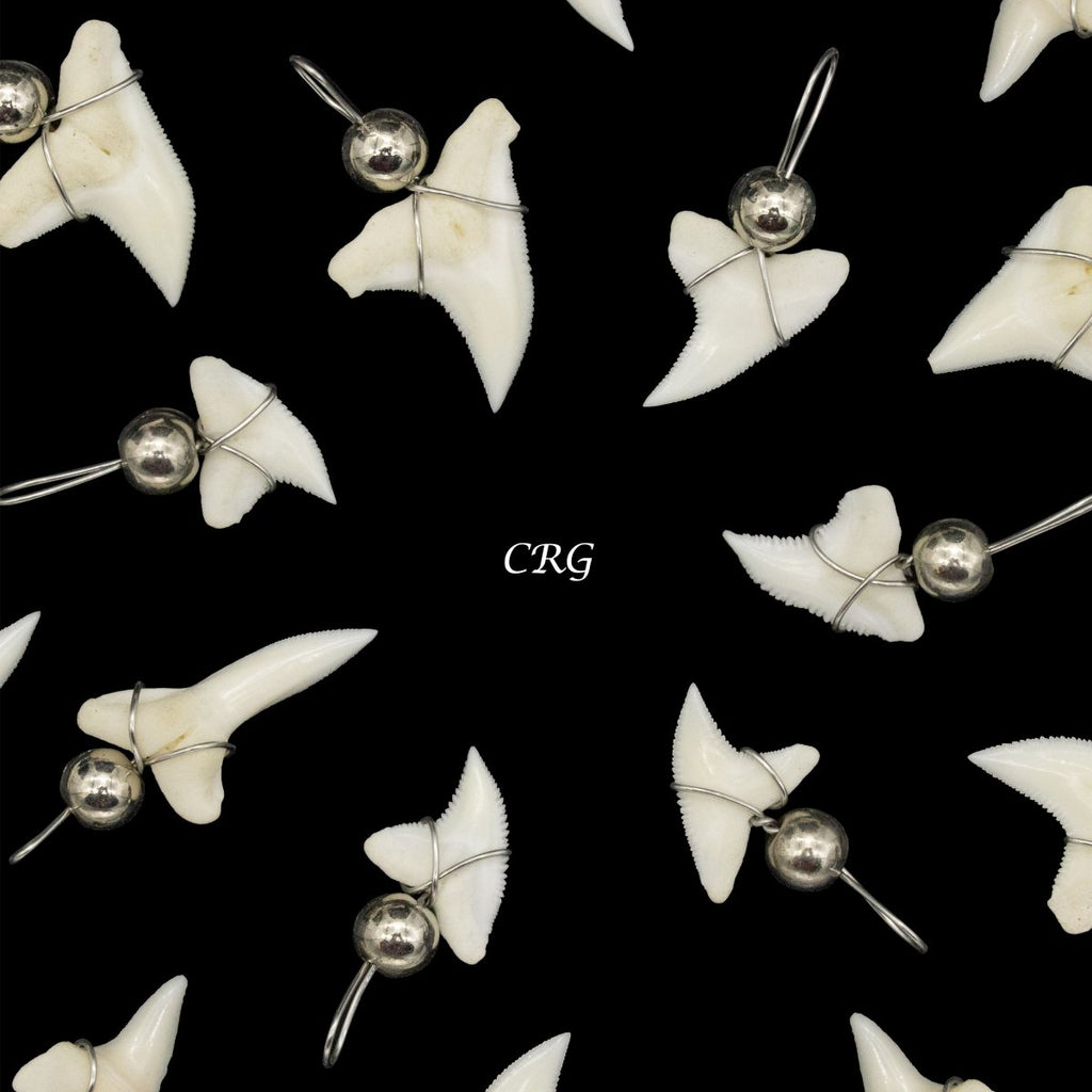 Shark Tooth Pendant with Silver Bead and Silver Wiring (4 Pieces) Size 15mm