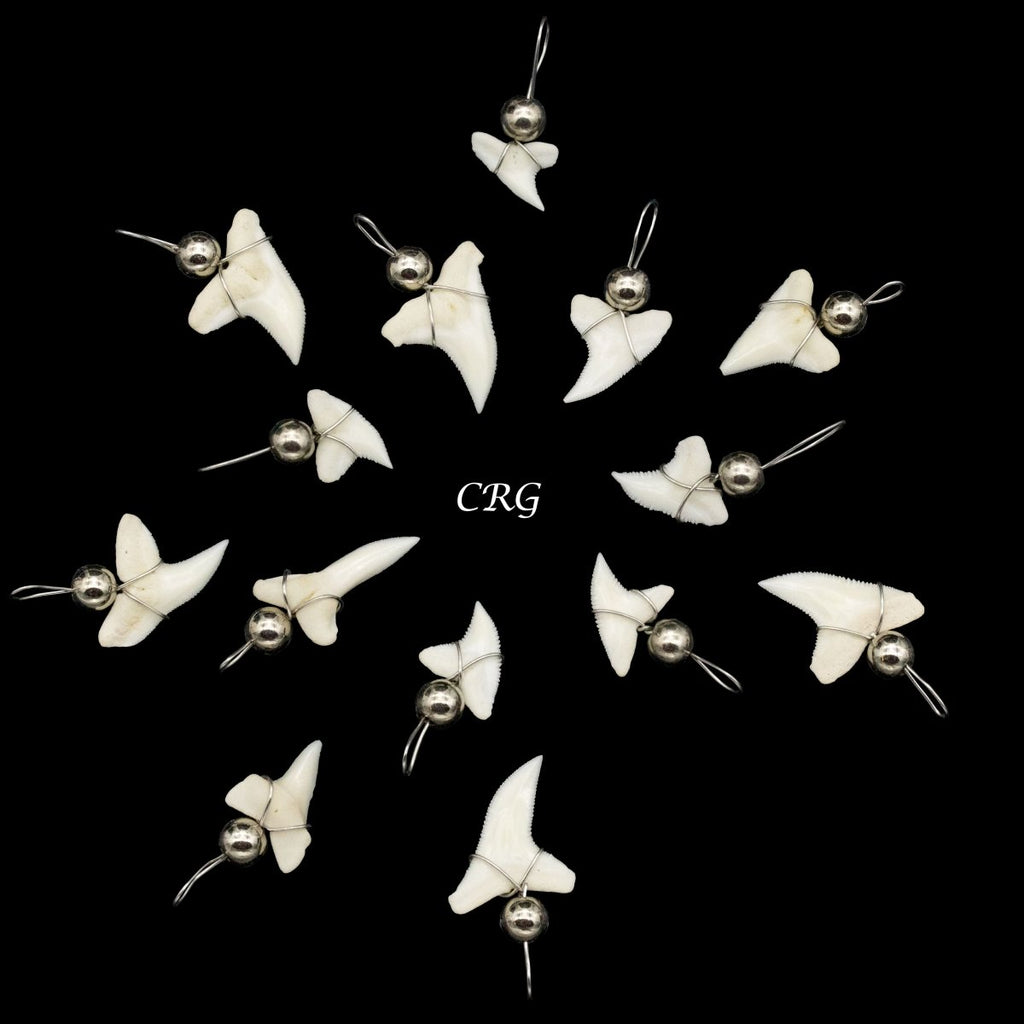 Shark Tooth Pendant with Silver Bead and Silver Wiring (4 Pieces) Size 15mm