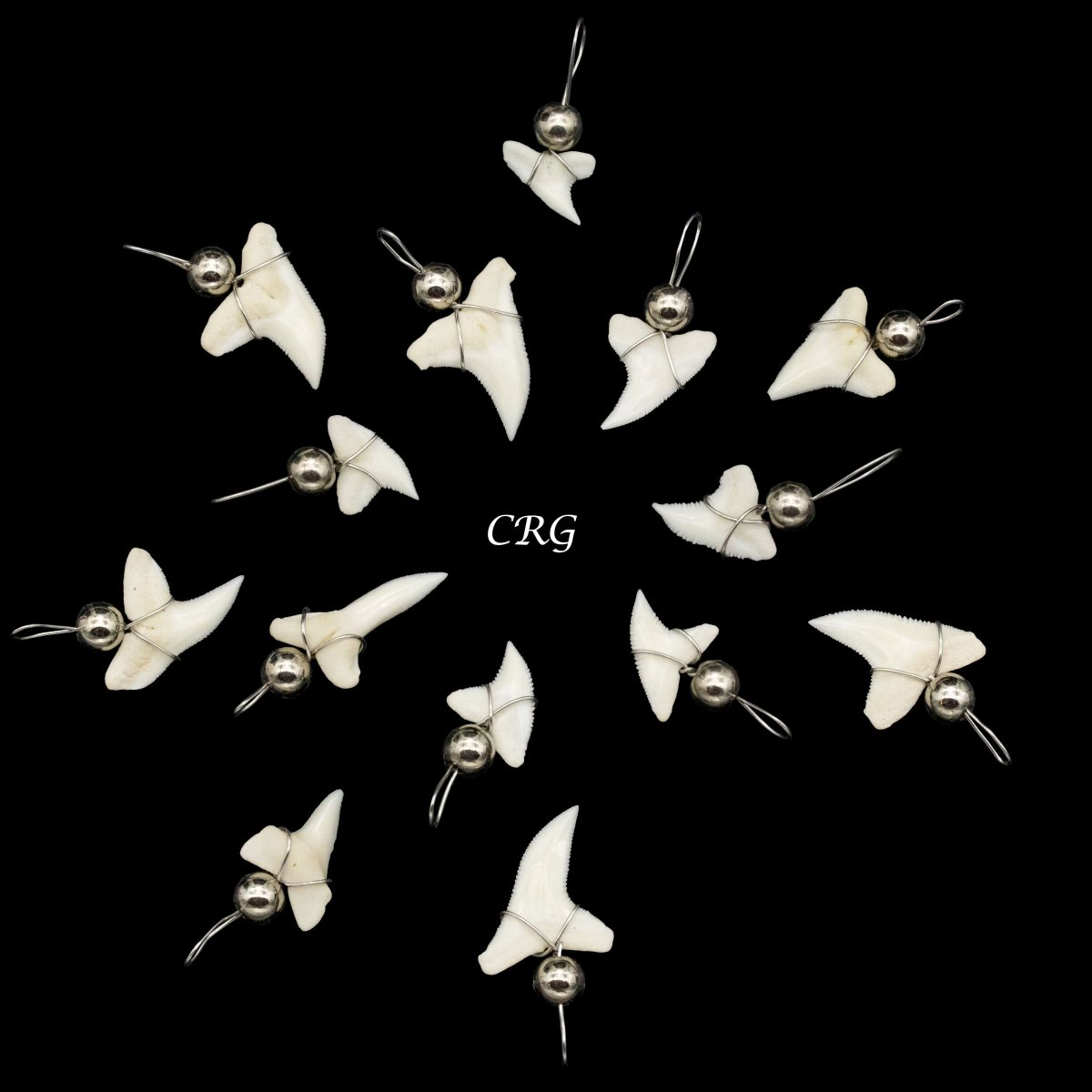 Shark Tooth Pendant with Silver Bead and Silver Wiring (4 Pieces) Size 15mm