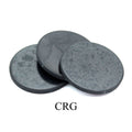 Shungite Polished Disk 3.5 inch (1 Piece)