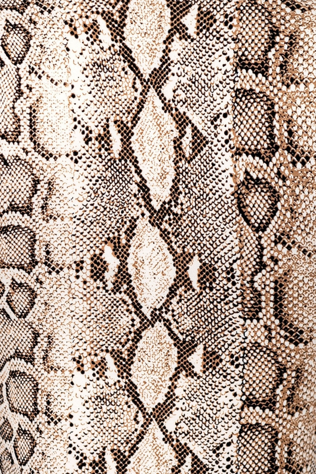 Snake Print Matching Set – Crop Top & Low Rise Mini Skirt for Women