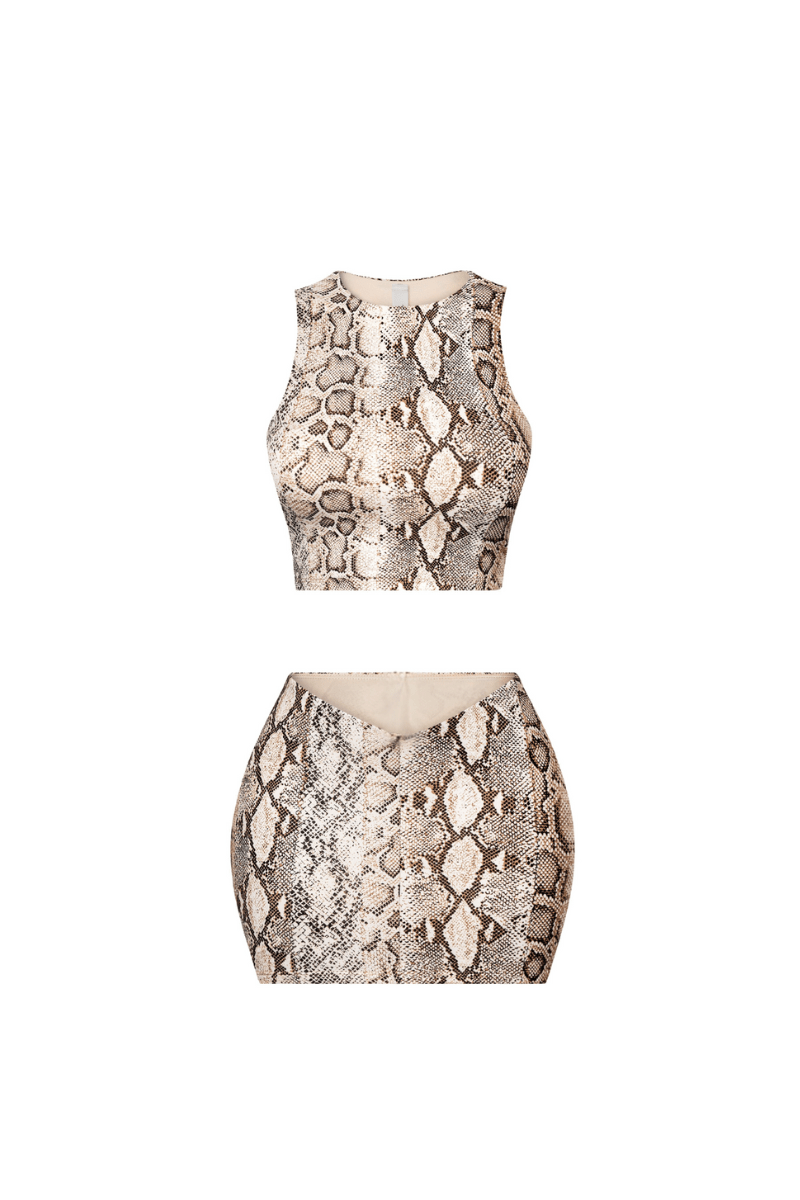 Snake Print Matching Set – Crop Top & Low Rise Mini Skirt for Women