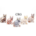 Soapstone Cats (10 Pieces) Size 1.5 Inches Crystal Gemstone Animal Carvings