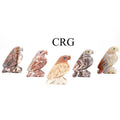 Soapstone Eagles (10 Pieces) Size 1.5 Inches Crystal Gemstone Animal Carvings