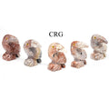 Soapstone Toucans (10 Pieces) Size 1.5 Inches Crystal Gemstone Animal Carvings