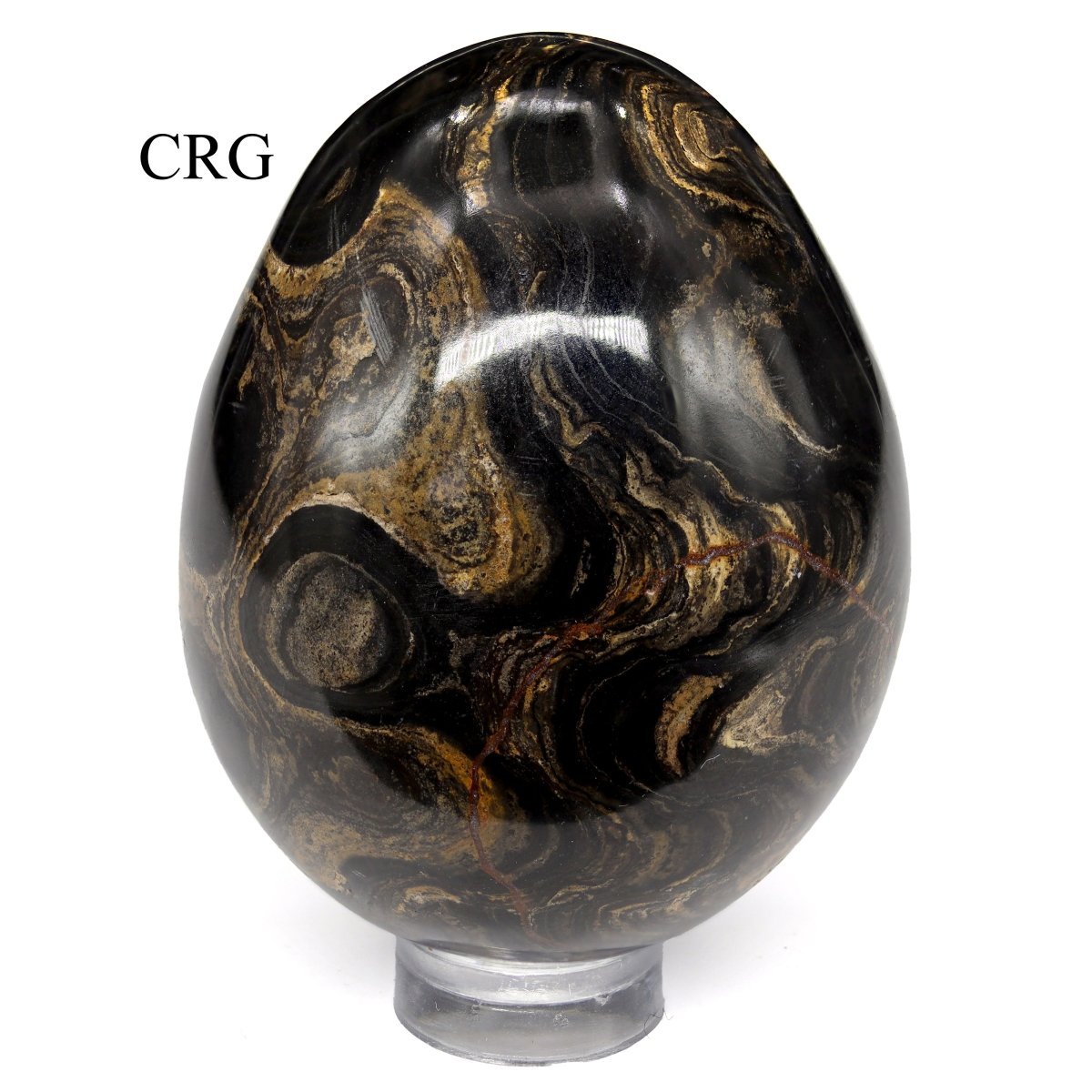 Stromatolite Egg (1 Piece) Size 45 to 55 mm Crystal Gemstone Shape