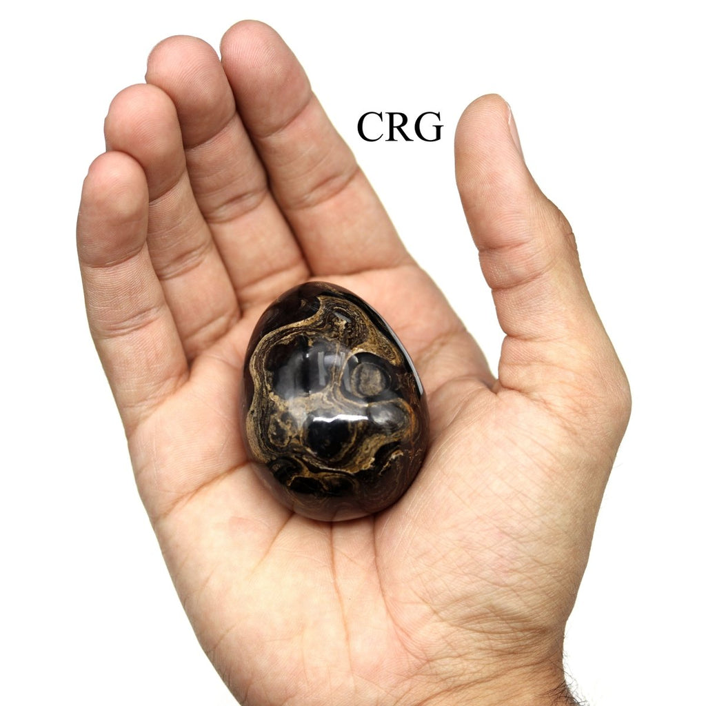 Stromatolite Egg (1 Piece) Size 45 to 55 mm Crystal Gemstone Shape
