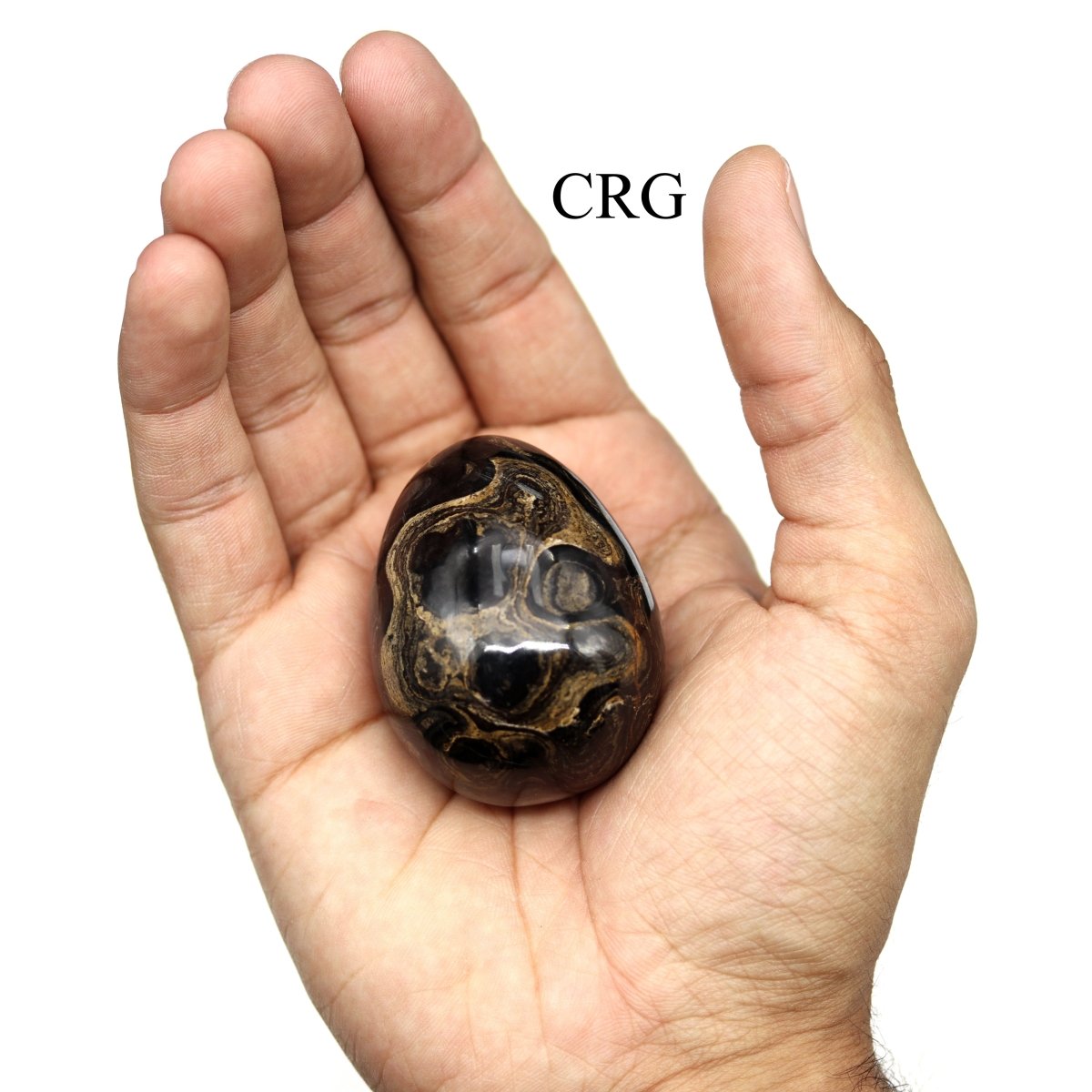 Stromatolite Egg (1 Piece) Size 45 to 55 mm Crystal Gemstone Shape