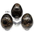 Stromatolite Egg (1 Piece) Size 45 to 55 mm Crystal Gemstone Shape