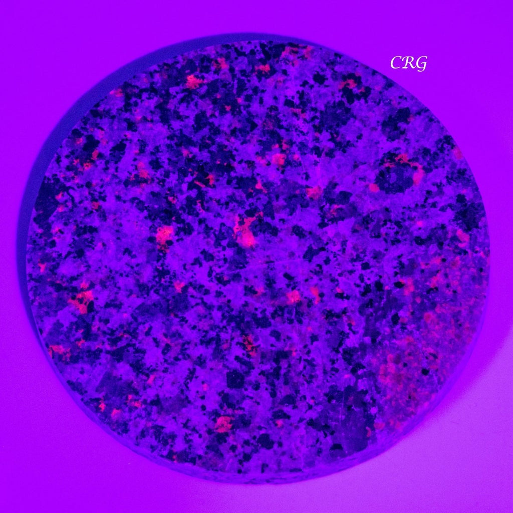 Syenite Disc Slab Coaster (4.5in)