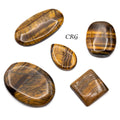 Tiger's Eye Cabochons (75 Grams) Mixed Sizes Bulk Wholesale Lot Crystal Minerals