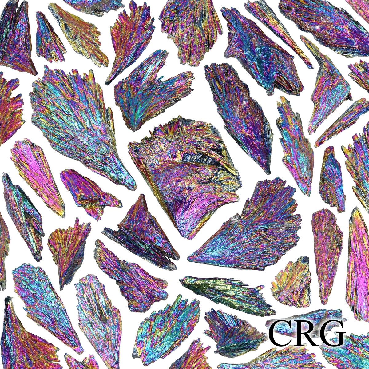 Rough Titanium Aura Kyanite Fans (1 Pound) Size 1 to 4 Inches Bulk Wholesale Lot Crystal Minerals