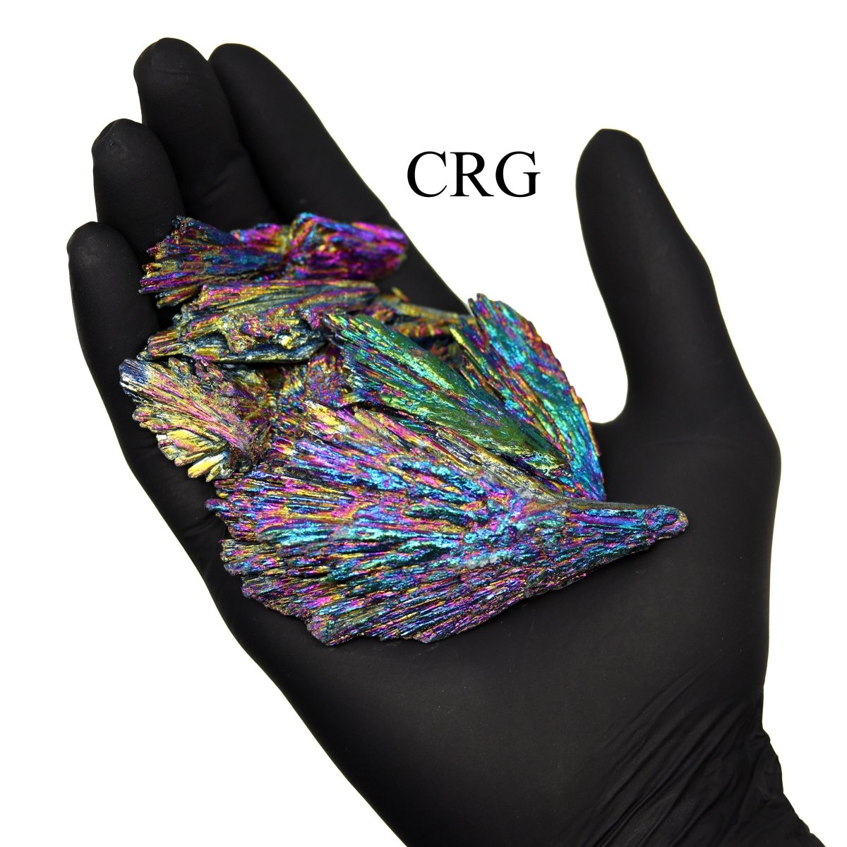 Rough Titanium Aura Kyanite Fans (1 Pound) Size 1 to 4 Inches Bulk Wholesale Lot Crystal Minerals