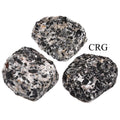 Tourmalated Quartz Rough Incense Holder with Felt Base (1 Piece) Size 2.5 to 3.5 Inches Crystal Gemstone Decor