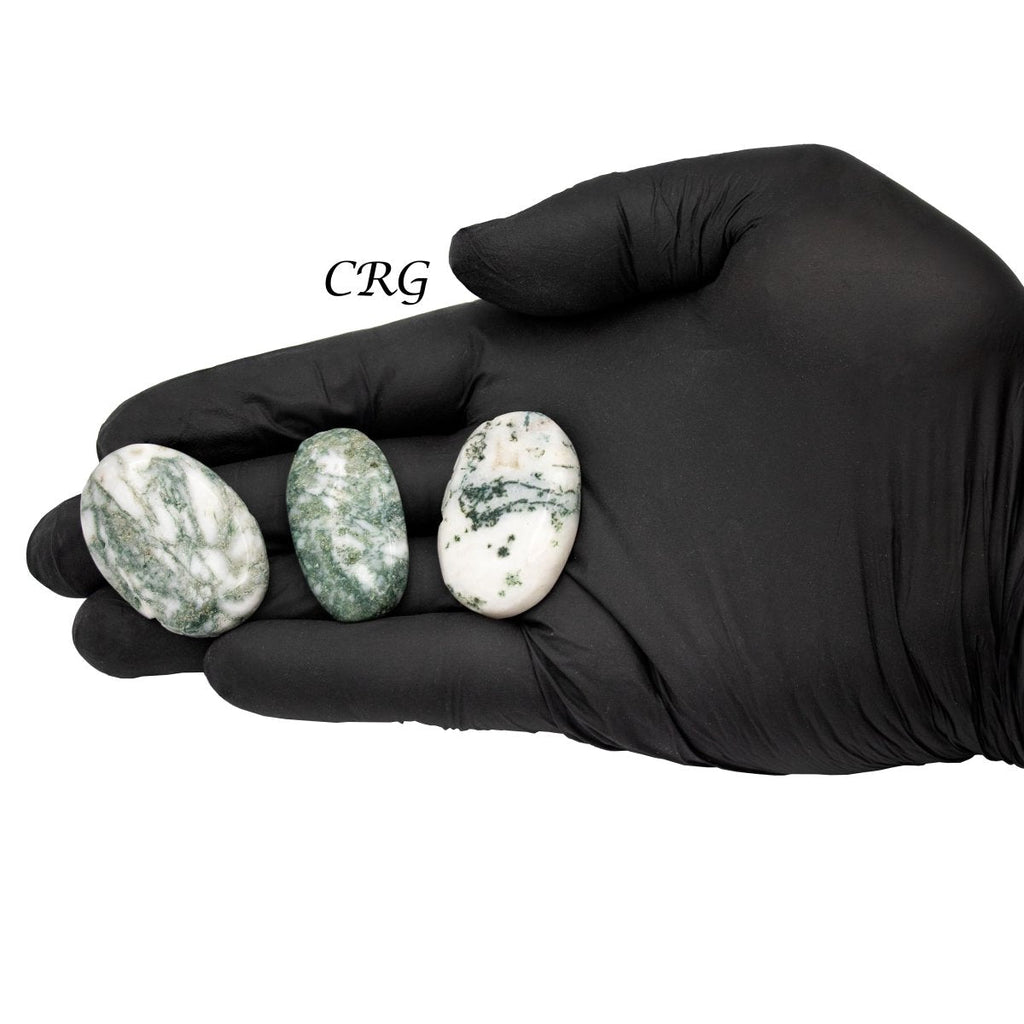 Tree Agate Cabochons (75 Grams) Mixed Sizes Bulk Wholesale Lot Crystal Minerals