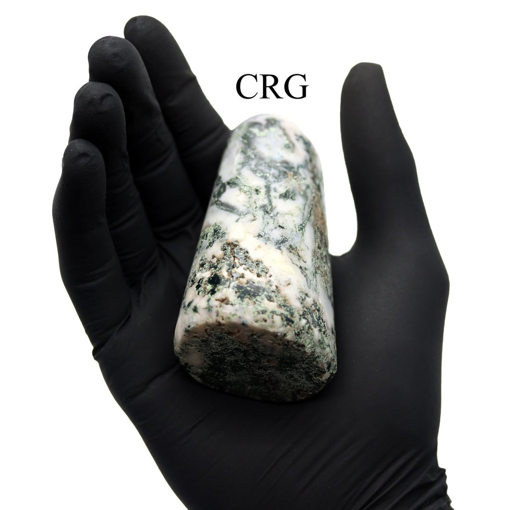 Tree Agate Freeform Boulder (1 Piece) Size 3 to 5 Inches Standing Crystal Gemstone Home Decor