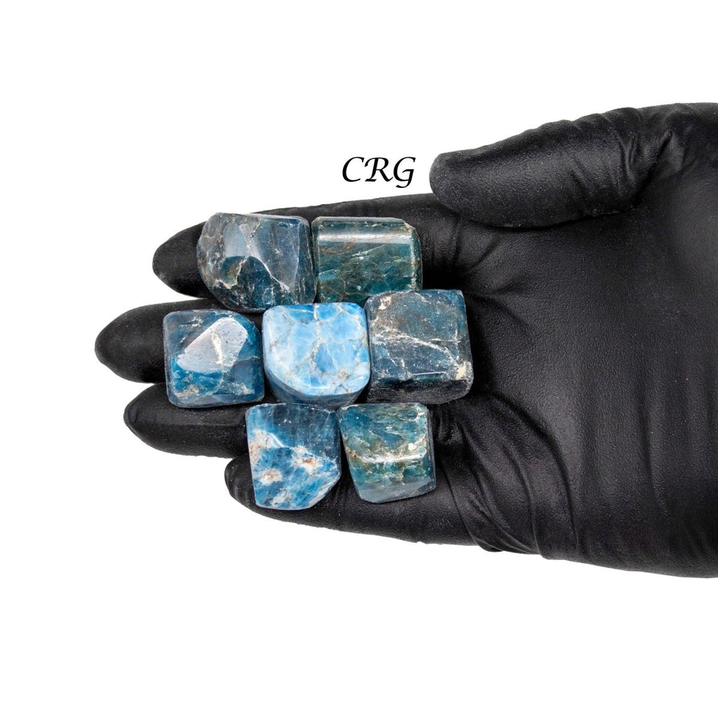 Tumbled Apatite / 1-2" AVG - 1 KILO LOT