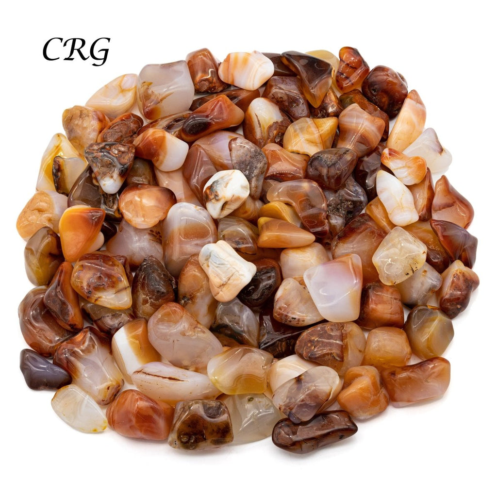 Tumbled Carnelian Agate / 1-2" AVG - 1 KILO LOT