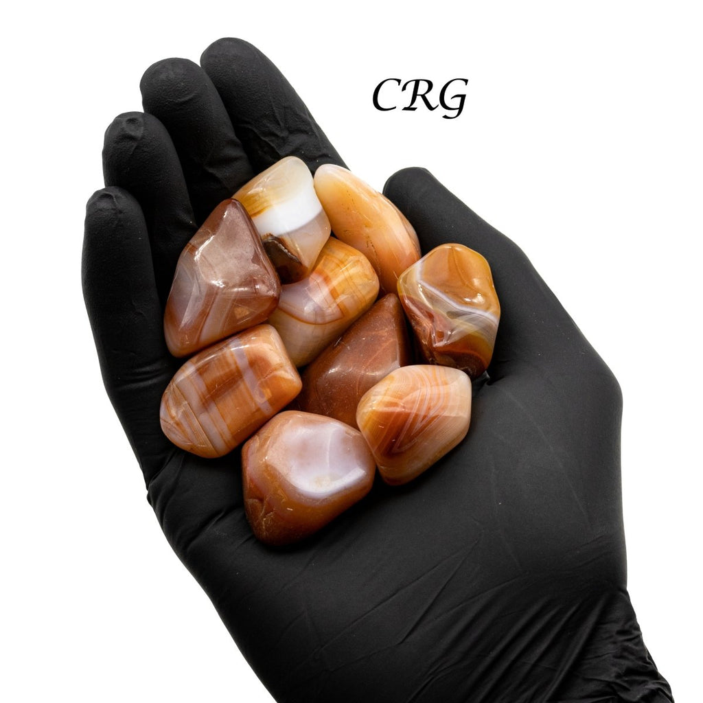 Tumbled Carnelian Agate / 1-2" AVG - 1 KILO LOT