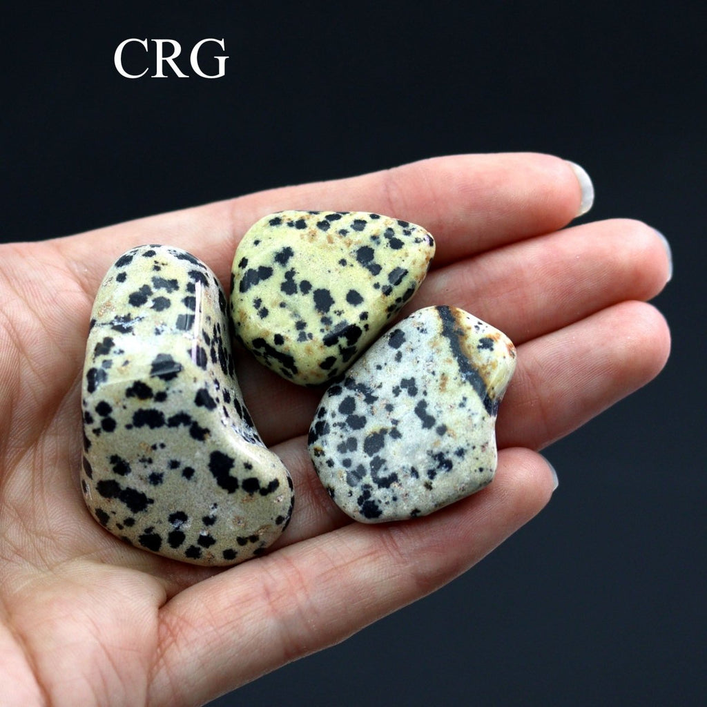 Tumbled Dalmatian Jasper / 30-60mm AVG - 1 KILO LOT