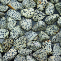 Tumbled Dalmatian Jasper / 30-60mm AVG - 1 KILO LOT