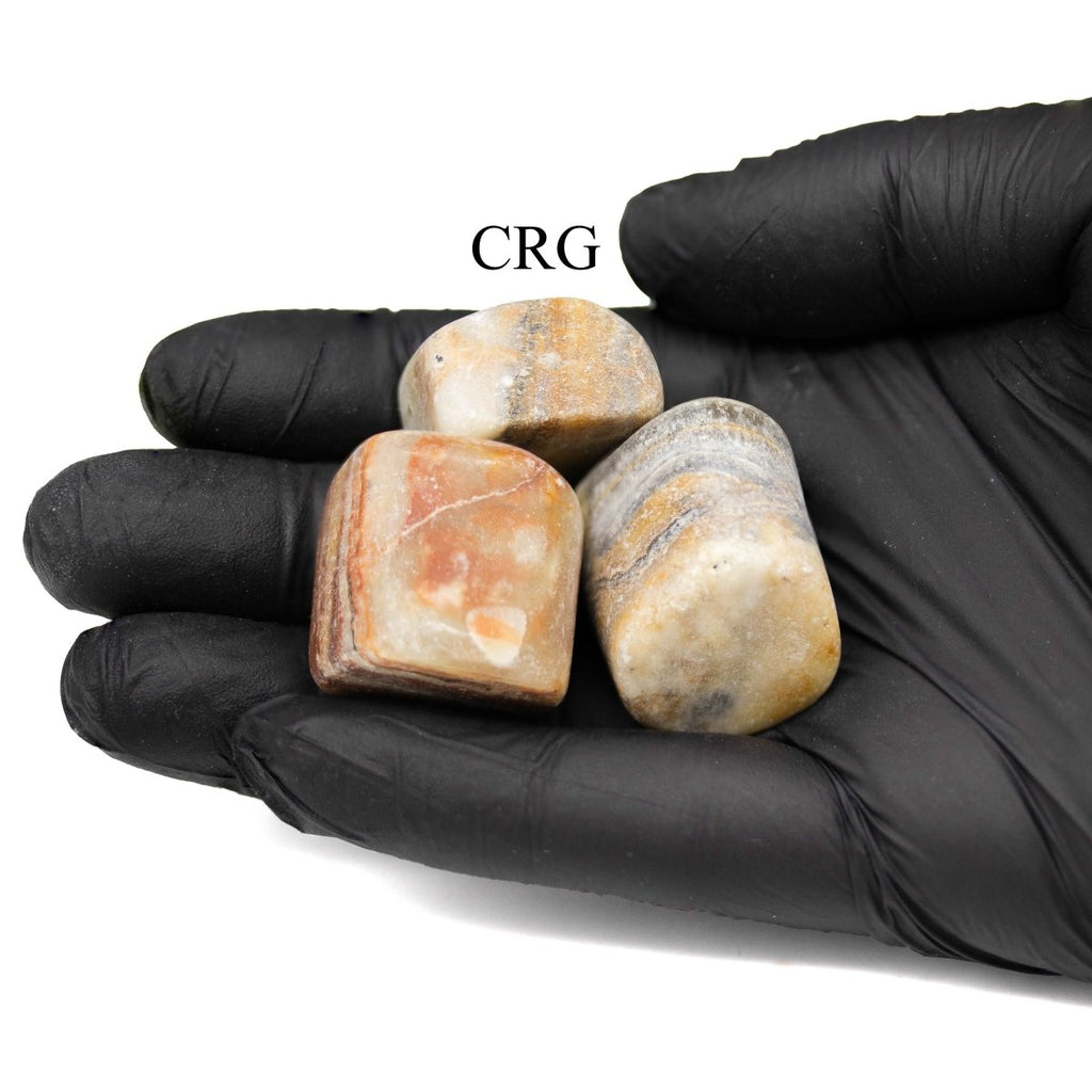 Tumbled Extra Quality Bumblebee Onyx / 1-2" AVG