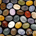 Worry Stones Assorted Gemstones (10 Pieces) Size 1.75 Inches