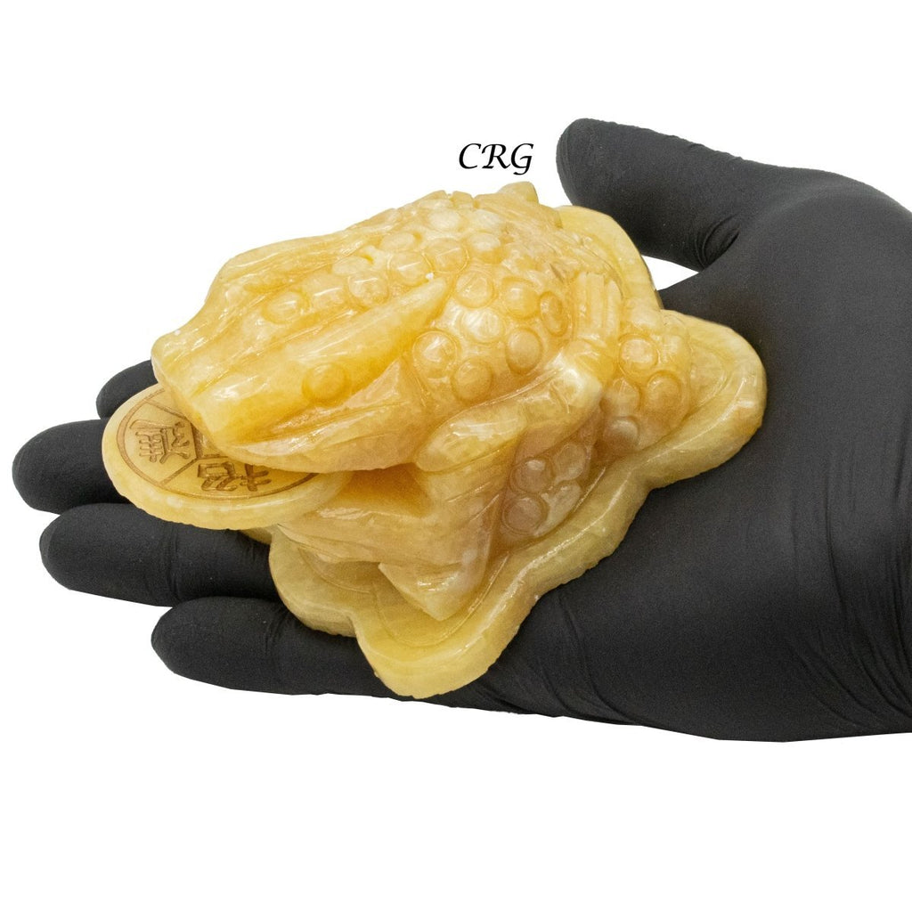 Yellow Calcite Good Lucky Money Frog Toad (1 Piece) Size 3 Inches Crystal Gemstone Animal Carving