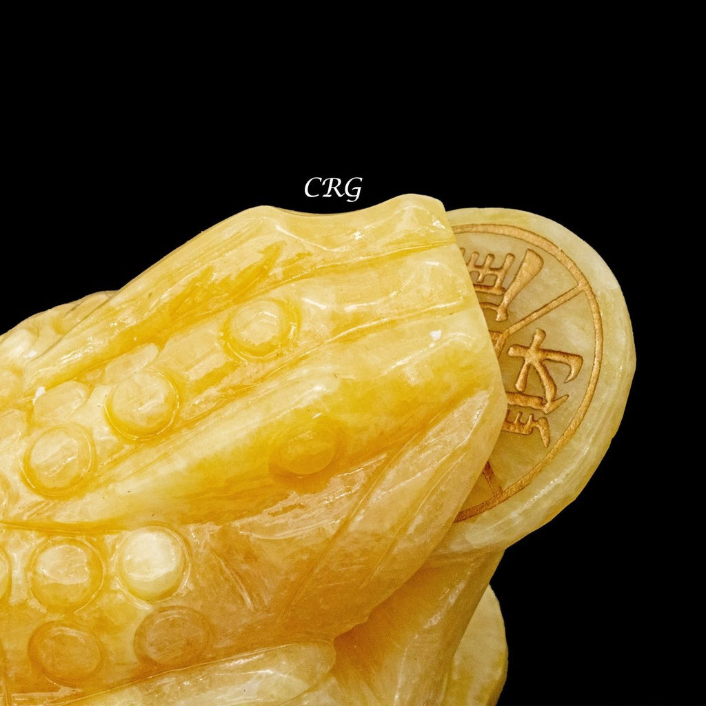 Yellow Calcite Good Lucky Money Frog Toad (1 Piece) Size 3 Inches Crystal Gemstone Animal Carving